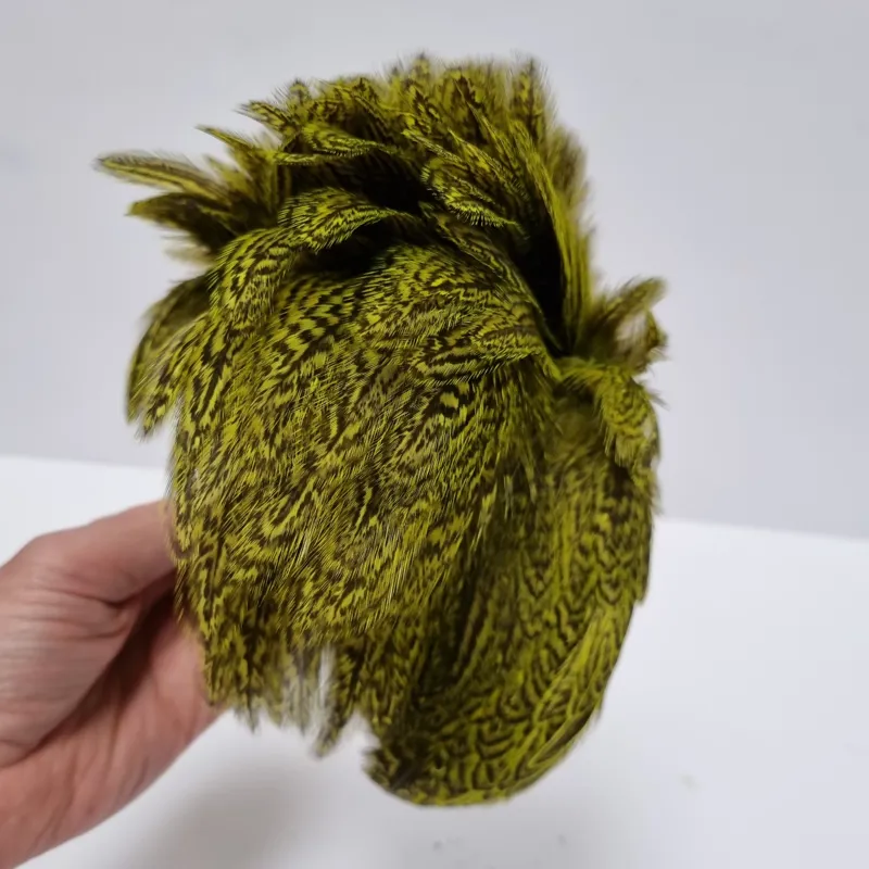 Whiting Coq de Leon Hen Cape in Speckled Fl.Yellow Chartreuse-7